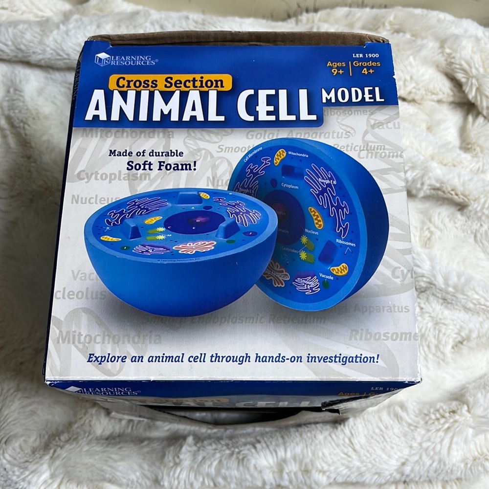 Animal Cell  cross section from Learning Resources. Durable soft foam